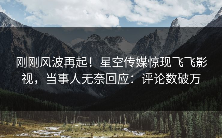 刚刚风波再起！星空传媒惊现飞飞影视，当事人无奈回应：评论数破万